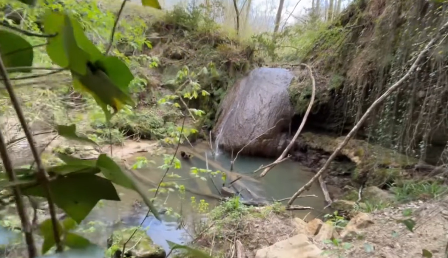 Cascade du Saut du Loup